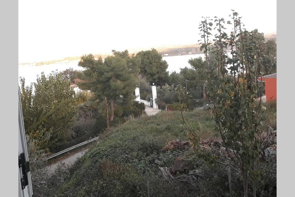 Amazing Sea View-Neos Pyrgos Beach -Evoia Greece Neos Pirgos Ngoại thất bức ảnh