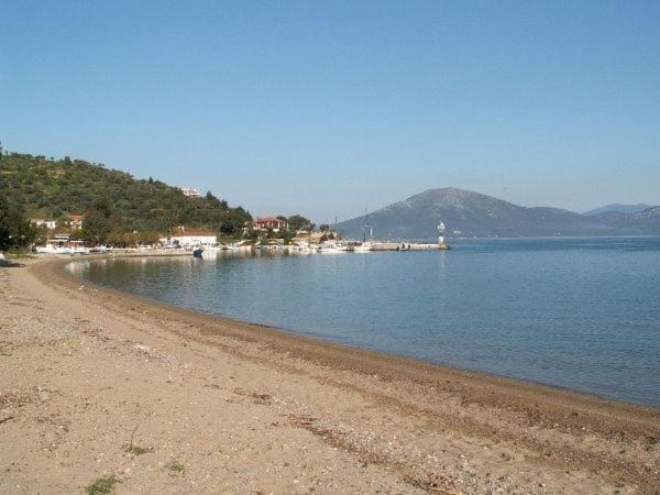 Amazing Sea View-Neos Pyrgos Beach -Evoia Greece Neos Pirgos Ngoại thất bức ảnh